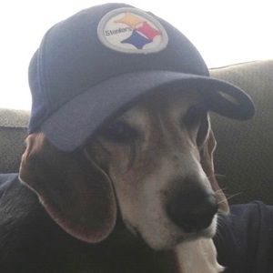 Meet your Posher, Richard